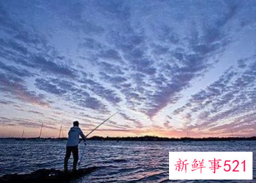 钓鱼的诀窍告诉我们什么道理