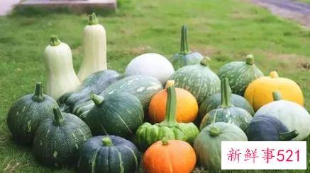 南瓜长得什么样