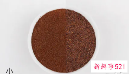 假海藻和真海藻的区别