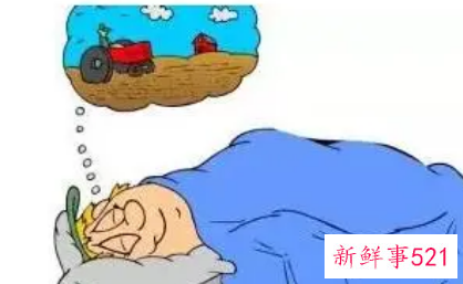 梦见被老虎追的寓意