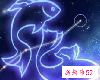 属狗的双鱼座男生性格