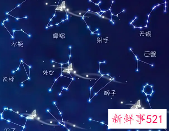 容易被低估其实最厉害的星座