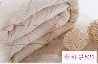 如何去除被子上的异味