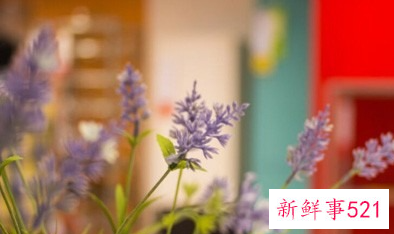 睡不着觉怎么办好