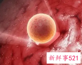 排卵的时候有什么症状或感觉