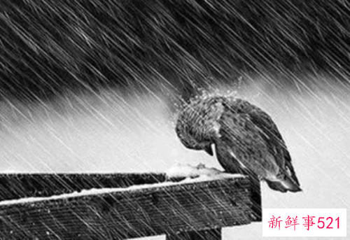 如何用话表达不快乐