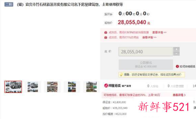 四川4A级竹石林景区2805万元起拍