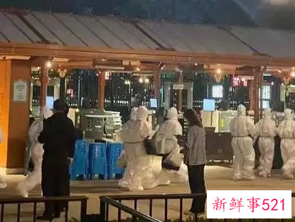上海迪士尼核酸检测之夜现场是什么情况