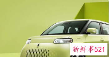 纯电动车排名前十名