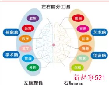 青少年如何开发右脑最好方法