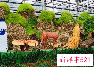 2022长春农博会什么时候举办