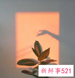 说出自己的内心话