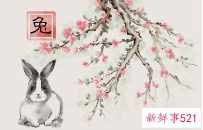 2023几月份出生的兔好