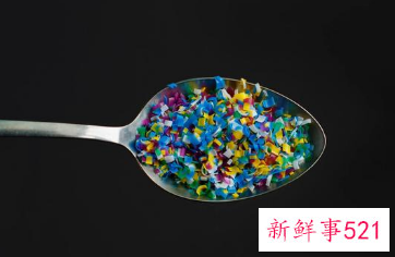 微塑料颗粒在人类血液中被发现