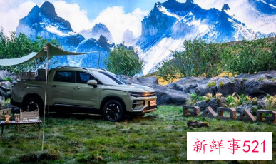 雷达品牌正式发布，首发纯电皮卡