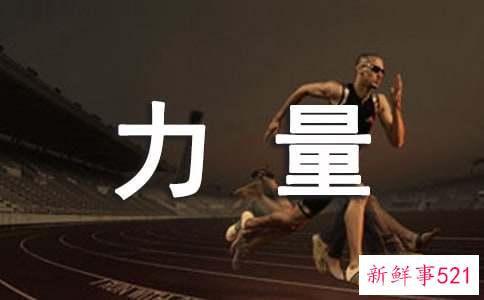 《发现儿童力量》读后感