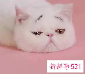 对一切都失去了兴趣怎么办