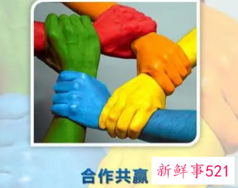 团队精神总结怎么写