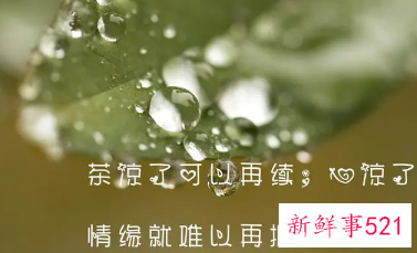 人心是慢慢变冷的句子图片