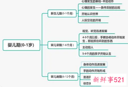 婴幼儿心理发展的年龄特征