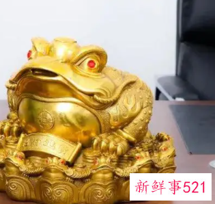 金蟾跟什么生肖相冲