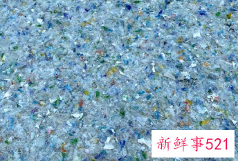 微塑料颗粒在人类血液中被发现