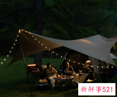 适合野外露营的歌曲