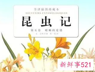 《昆虫记》的读后感是怎样的