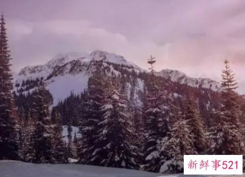 梦见油条有什么征兆