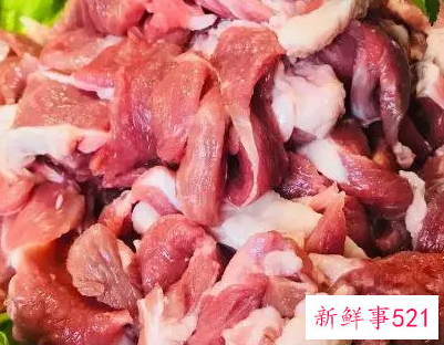 孕妇能不能吃羊肉