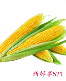 优质碳水是指哪些食物