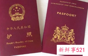 办理护照需要提供什么资料