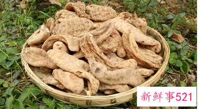 天麻的禁忌和副作用