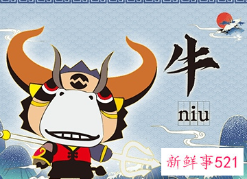 生肖牛佩戴什么最旺财