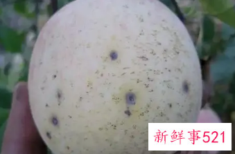 苹果表面有黑点能吃吗