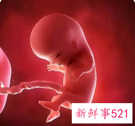 孕18周胎儿特别活跃