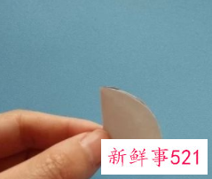 利用废旧物品做小手工