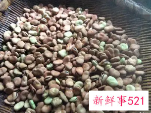 干蚕豆怎么保存不生虫