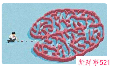 聪明到极致就是精神病