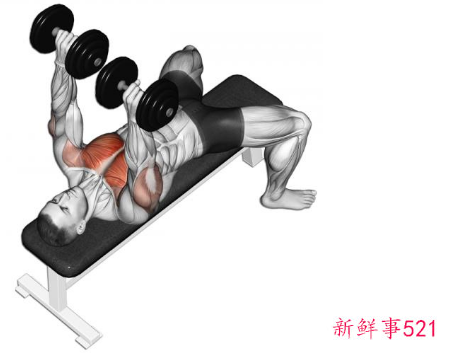 哑铃经典8个动作