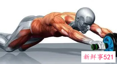 锻炼腹肌的动作有哪些