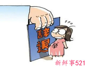 孕期被辞退相关赔偿的法律依据