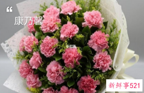 康乃馨花语和赠送对象