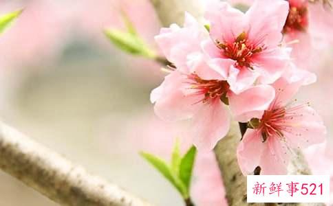 男人烂桃花怎么破解