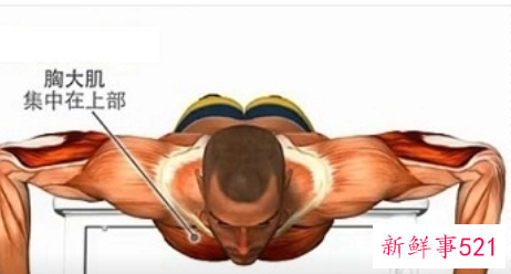 男人胸部如何锻炼