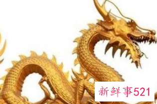 属龙的女人佩戴什么旺财