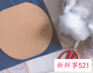 利用废旧物品做小手工