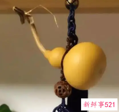 破邪气简单办法