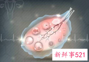 排卵的时候有什么症状或感觉