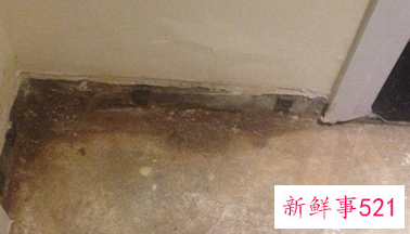 一下雨屋里水泥地面就潮湿